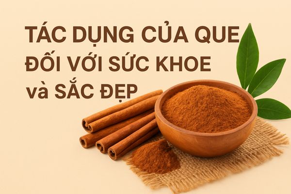 Tác Dụng Của Quế Đối Với Sức Khỏe Và Sắc Đẹp